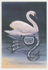 Swan